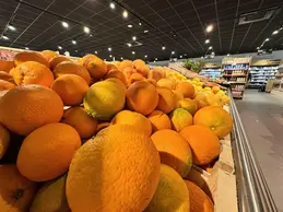 324-biocoop-rumilly-magasin-alimentation-bio-agrume-saison-local-fruit-legume.webp